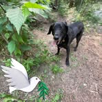 Aiden Wheeler - Facebook