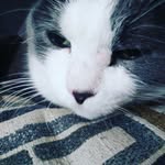 Aiden Wheeler - @aidenwheeler8 - Instagram