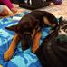 Ayden Whitaker - Facebook