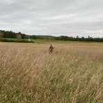 Aiden Whitehead - Facebook