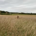 Aiden Whitehead - @warrer1o1 - Instagram