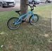 Aiden Whiting - Facebook
