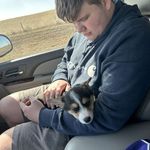 Aiden Wilcox - @aiden.wilcox.7549 - Instagram