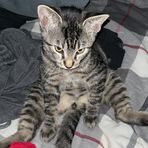 Aiden Wilcox - Facebook