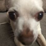 Aiden_wilcox - @aiden_wilcox5 - Instagram