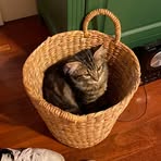 Aiden Wilcox - Facebook