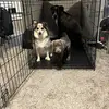 Aiden Williams - @aiden.williams63 - TikTok