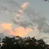 Aiden Williams - @aiden.williams738 - TikTok