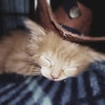 Aiden Winstead - @aidenwinstead - Instagram