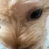 aidenwu8 - @aidenwu8 - TikTok