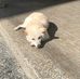 Aiden Yang - Facebook