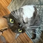Aiden yang - @cherrycrab1 - Instagram