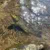 Aiden Young - @aiden.young470 - TikTok