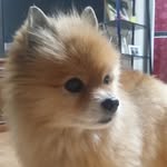 유수환 - @aiden.yu - Instagram