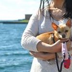 Aidi Liu - @aidi.liu - Instagram