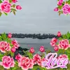 Aidil Centeno Gomez - @aidilcentenogomez - TikTok