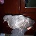 Aidil Lopez - Facebook