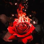 Aidil Lopez Ramirez - @aidil.lopez - Instagram