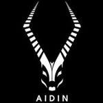🎸🎶 - @aidin_kiani_1 - Instagram