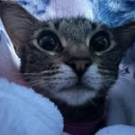 Aiko - @_aikoramos - Instagram