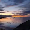 aileenbarry1 - @aileenbarry1 - TikTok