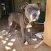 Alan Brookes - Facebook