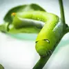 aileenebryan - @aileenebryan - TikTok