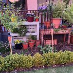 Aileen Buckley - @groovy10000 - Instagram