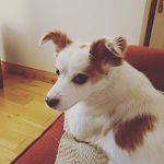 Aileen Buckley - @aily_buck - Instagram