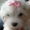 Eviña - @aileenbundy - TikTok