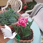 Eileen Burger - @eileen_burger - Instagram
