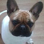 eileen Burnett - @burnetteileen - Instagram
