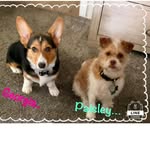 Eileen W Burnett-Hall - @eburnett25 - Instagram