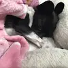 Aileen Campos - @aileen.camposan121811 - TikTok