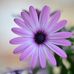 Aileen Cariaga - Facebook