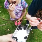 Aileen Carmichael - @the_crafty_cherry - Instagram
