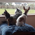 Aileen Carroll - @aileencarroll2 - Instagram