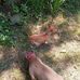 Aileen Casas - Facebook