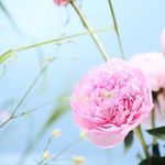 Aileen Chang - @aileenchang6 - Instagram