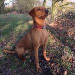Aileen Chapman - @aileen.chapman.104 - Instagram