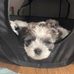 Eileen Chapman - Facebook