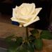 Eileen Chester - Facebook