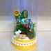 Aileen Chiu - Facebook