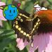 Eileen Christensen - Facebook
