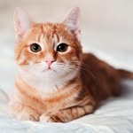 Aileen Chu - @aileen._.1029 - Instagram