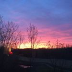 Eileen Coates - @coateseileen - Instagram