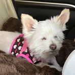 Eileen Cohen - Facebook