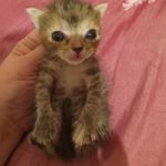 Aileen Collazo - @aileen.collazo.921 - Instagram