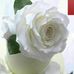 Aileen R Collazo - Facebook