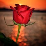 Aileen Concepcion - @concepcion6200 - Instagram